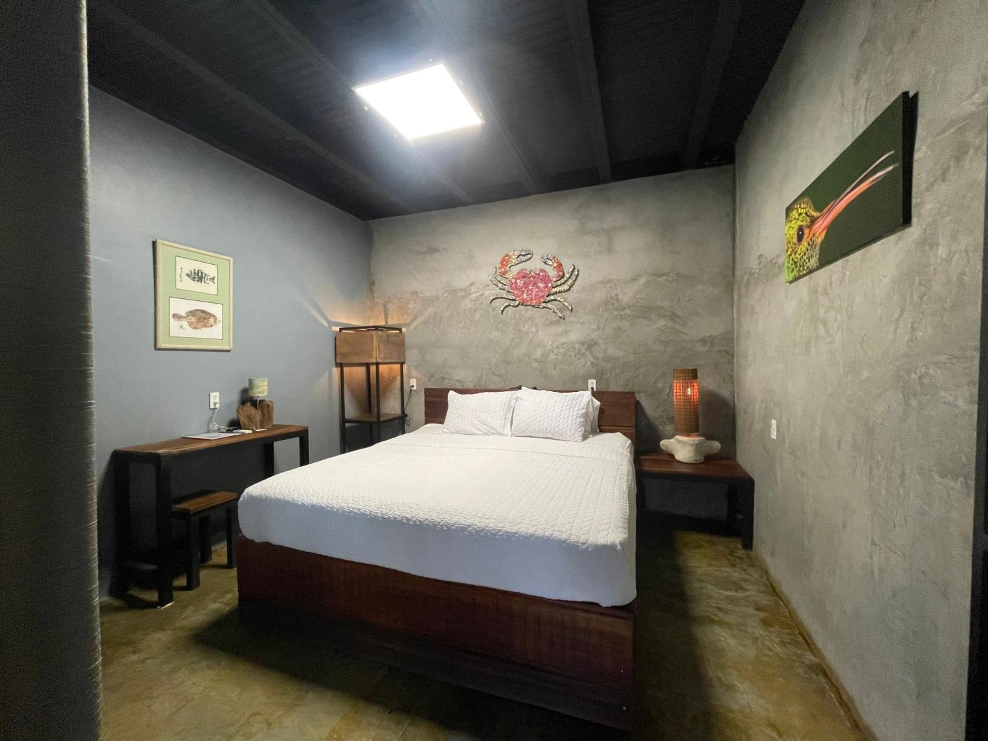 San Carlos Surf Resort & Eco Lodge מראה חיצוני תמונה